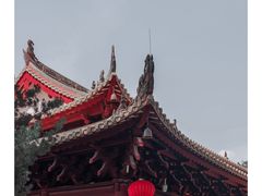 -荔湾湖公园