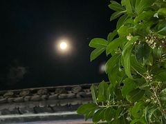 -巍山古城