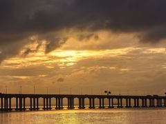 -宝安西湾红树林湿地公园