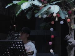 -大理岛·精品云南菜·音乐餐厅