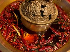 -小龙翻大江文化火锅(宽窄店)