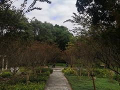 -深圳国际园林花卉博览园