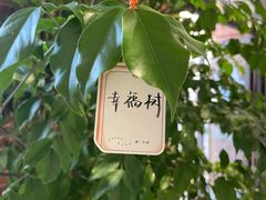 -潮一不贰·法式甜品·生日蛋糕·西式简餐(外滩店)