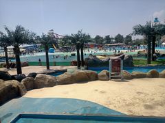 -秦皇岛乐岛海洋王国