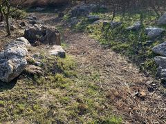 -春花秋色城市公园