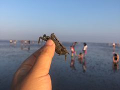 -南汇新城海滩