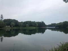 -尚贤河湿地