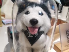 -Husky Go! 哈士奇体验馆·宠物咖啡厅狗咖