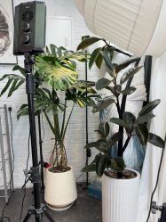 -飛凡TATTOO纹身•原创