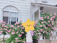 -鹅湖玫瑰文化园