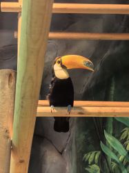 -Zoolung Zoolung动物主题公园(海信广场店)