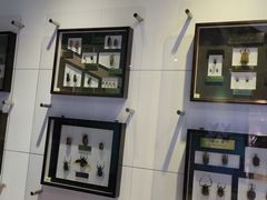 -上海昆虫博物馆