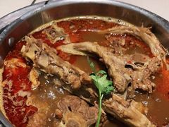 -浩爷羊蝎子火锅(望京店)