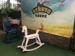 -柴犬高等学院·狗咖·柴犬售卖·宠物训练