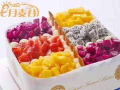 -维尔纳斯·生日蛋糕·动物奶油冰淇淋蛋糕(六里桥店)