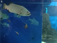 -成都浩海立方海洋公园