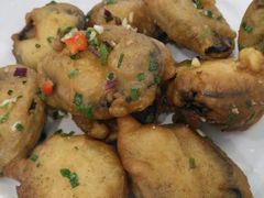 -海江5号