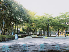 -白鹭洲公园