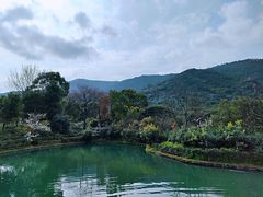 -树山生态村