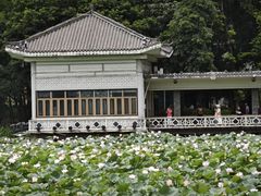 -荔湾湖公园