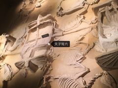 -洛阳周王城天子驾六博物馆