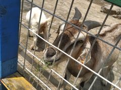 -武汉紫薇都市田园