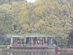 -荔湾湖公园