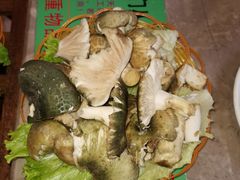 -易门野生菌府·菌海森林(月牙潭公园店)