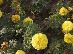 -无锡市市民中心