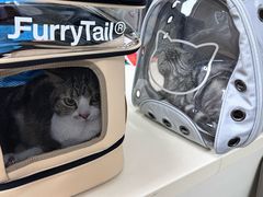 -宠颐生中康贝怡动物医院