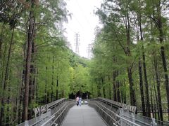 -福道