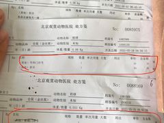-北京观赏动物医院·24小时大型综合·猫专科·异宠专科