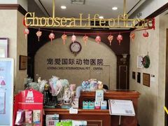 -宠爱国际动物医院· 猫科· 外科·中兽医(长白店)