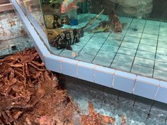-荣小馆(杭州大厦店)