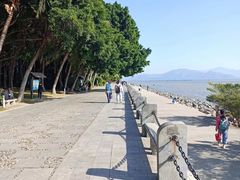 -深圳湾公园(南山区)