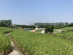-迪茵湖田家舍生态农场