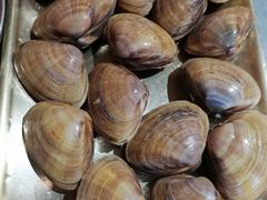 丹东大黄蚬-围炉肉舍•炭烤活鳗•丹东海鲜烤肉(步行街店)