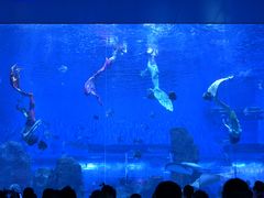 -石家庄极地海洋世界