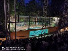 -清迈夜间动物园