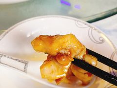 -新概念来凤鱼(璧山店)