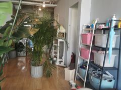 -Cappucimeow猫咪咖啡馆(韦伯时代店)