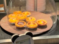 -美食小镇·观赏珍稀鸟类·长隆熊猫酒店