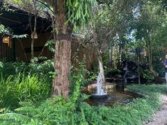 -DOI CHAANG Caffè Maesuai