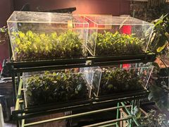 -大匠工房古船木艺术餐厅·猪肚鸡专门店(长白仙岛店)