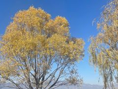 -野鸭湖国家湿地公园