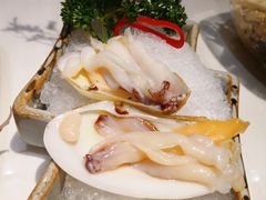 象鼻蚌-围炉夜话·潮汕卤水火锅(榕江店)