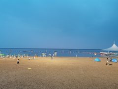 -碧海金沙