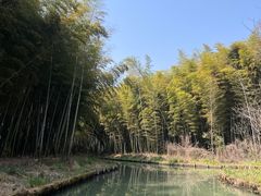 -同里国家湿地公园