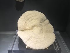 -天津自然博物馆
