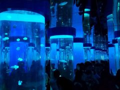 -石林冰雪海洋世界